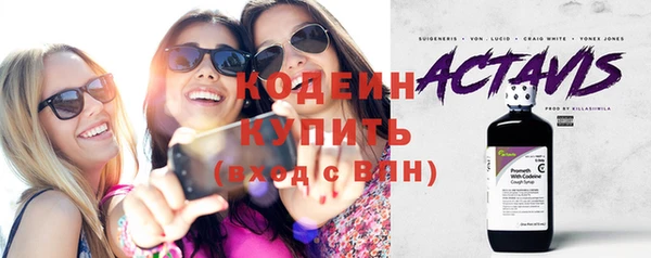 шишки Арсеньев