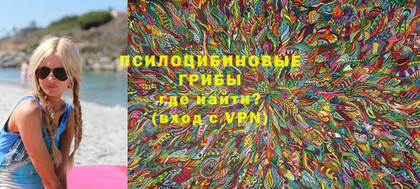 шишки Арсеньев