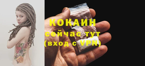 шишки Арсеньев