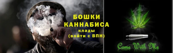 шишки Арсеньев