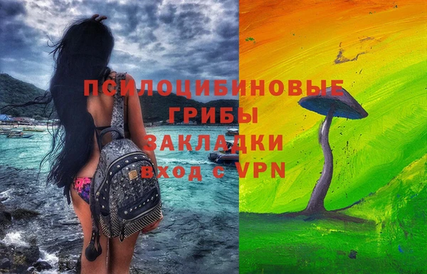 шишки Арсеньев
