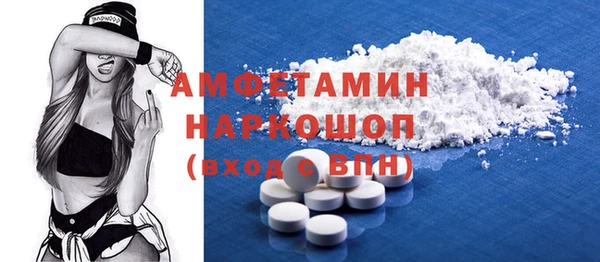 шишки Осташков