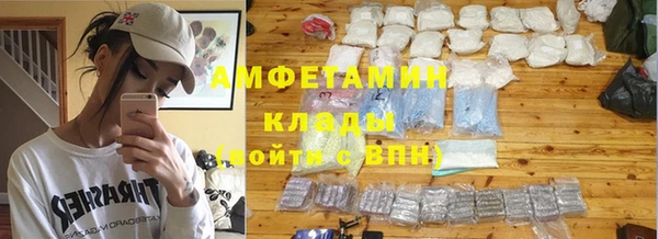 шишки Арсеньев
