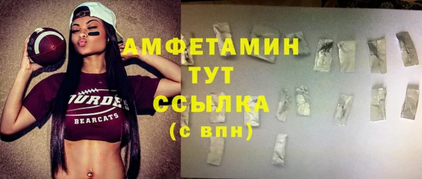 шишки Арсеньев